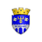 Edineţ