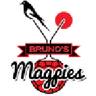 Magpies