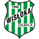 Wisłoka Dębica