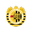 Xewkija Tigers