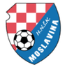 Moslavina