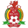 Briton Ferry
