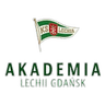 Akademia Piłkarska LG W