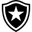 Botafogo U20