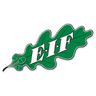 EIF Akademi