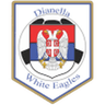 Dianella White Eagle