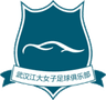 Wuhan Jiangda W