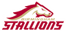 Stallion W