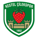 Kestel Çilek