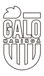 Galo Maringá U20