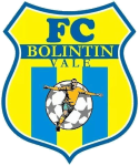 Bolintin Vale