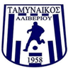 Tamynaikos Aliveriou