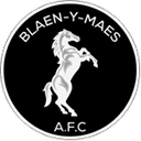 Blaen-y-Maes