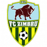 Zimbru
