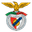 Benfica Castelo Branco