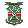 BDF XI