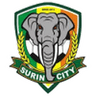 Surin