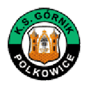 Górnik Polkowice